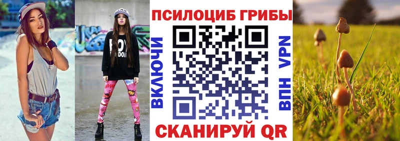 сайты даркнета клад  Курганинск  Галлюциногенные грибы Psilocybine cubensis 