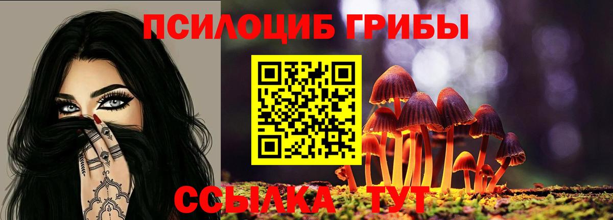 Галлюциногенные грибы Cubensis  Галлюциногенные грибы Psilocybine cubensis  Курганинск  Вход с VPN 